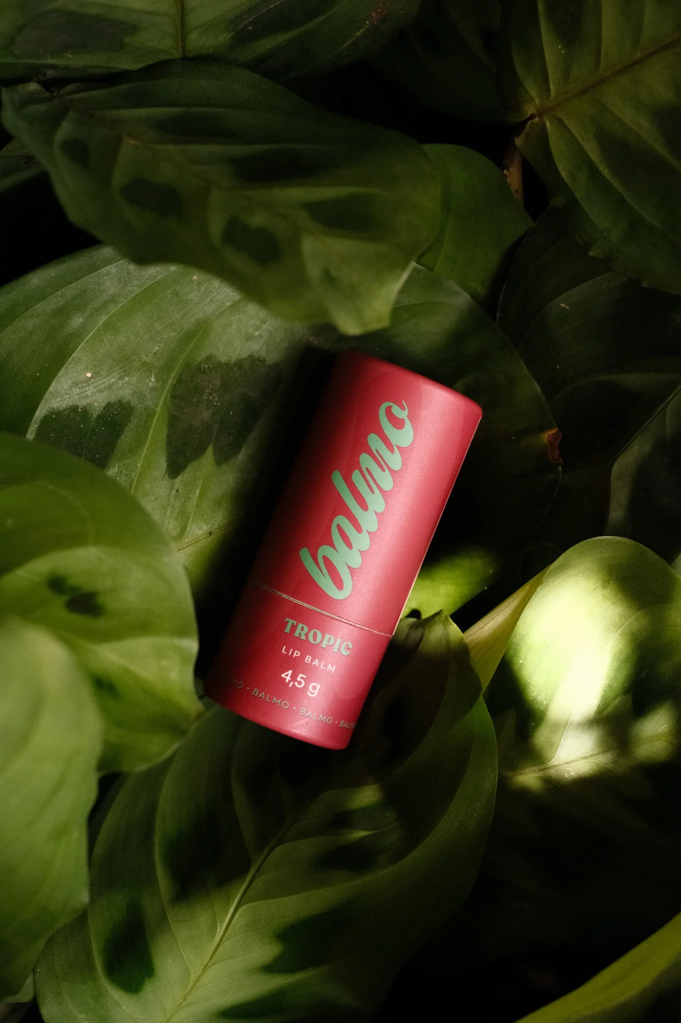 Balmo Lip Balm Tropic