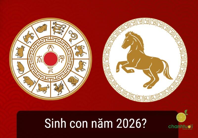 2026 Là Năm Con Gì 2