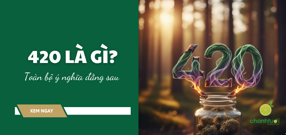 420 là gì? Giải mã mọi ý nghĩa đặc biệt của con số bí ẩn này!