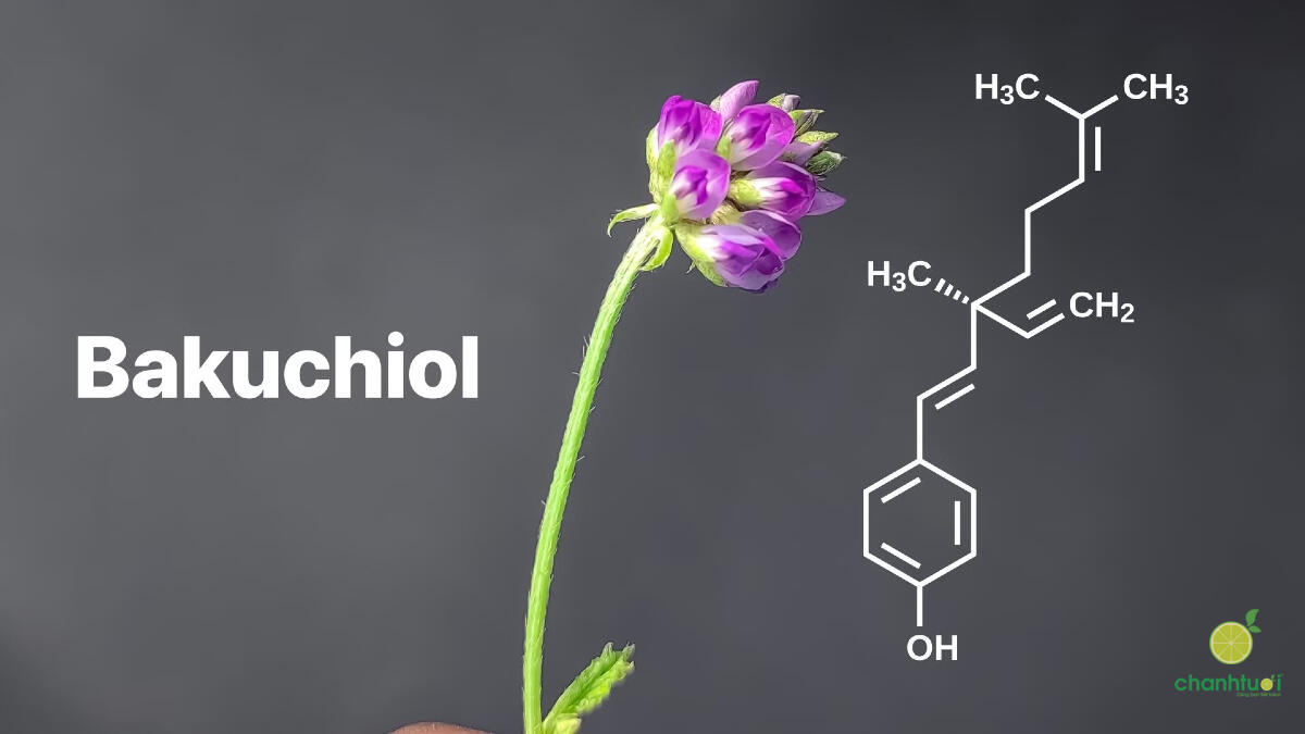 bakuchiol 1
