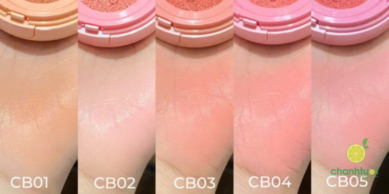 bảng màu má hồng cushion into you