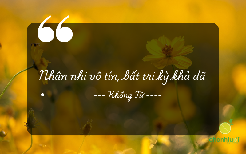 Ca dao, tục ngữ về giữ chữ tín 3