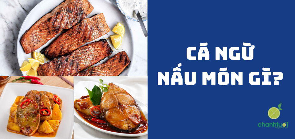 Cá ngừ nấu món gì? 10 công thức đơn giản mà ngon miệng