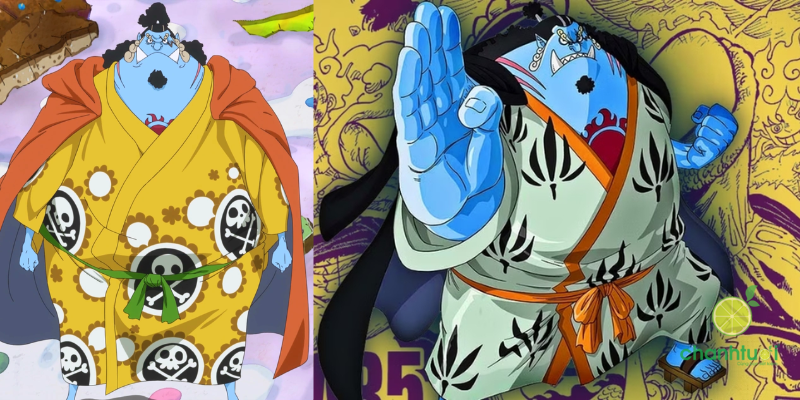 các thành viên băng mũ rơm hiện tại 10