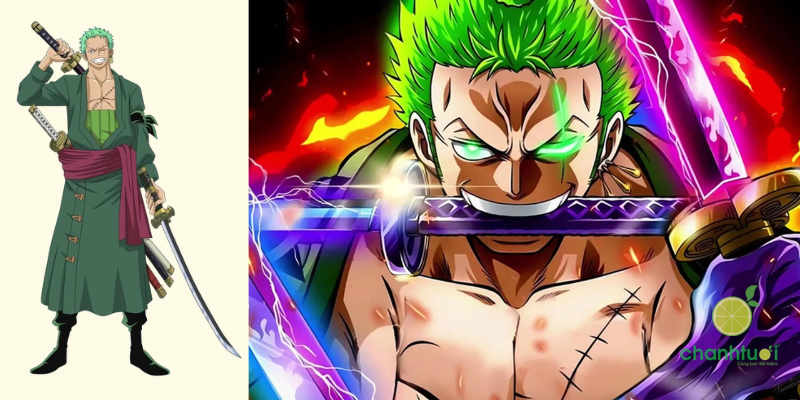 các thành viên băng mũ rơm hiện tại 2