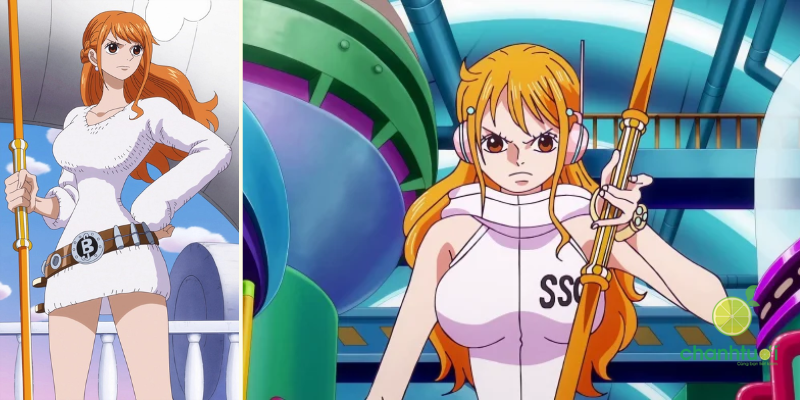 các thành viên băng mũ rơm hiện tại 3