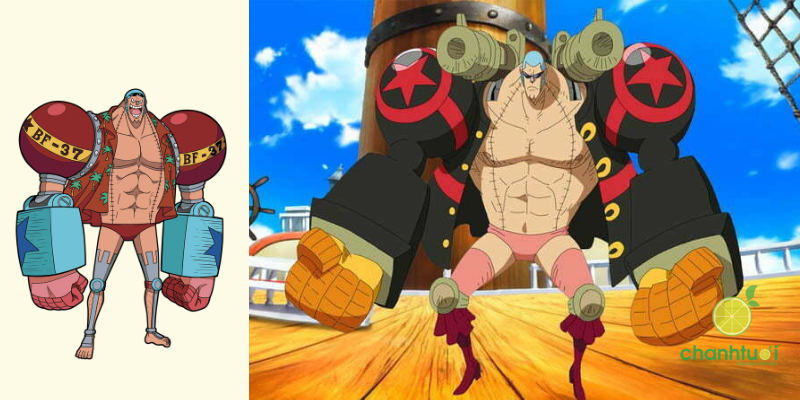 các thành viên băng mũ rơm hiện tại 7