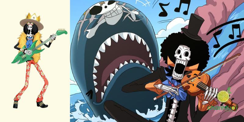 các thành viên băng mũ rơm hiện tại 8