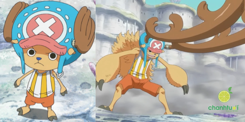 các thành viên băng mũ rơm hiện tại 9