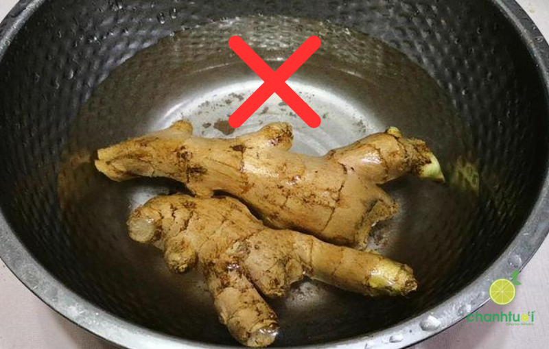 cách trồng gừng thủy sinh 8