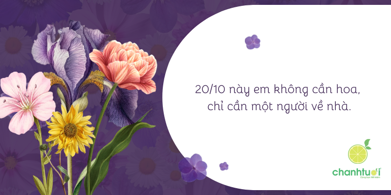 cap 2010 cho bản thân 1