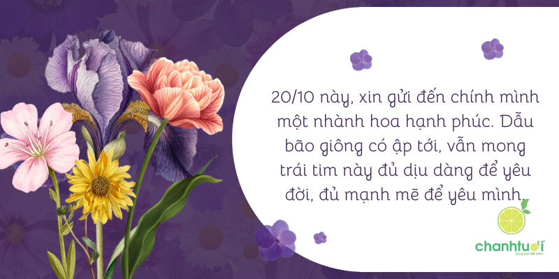 cap 2010 cho bản thân 2