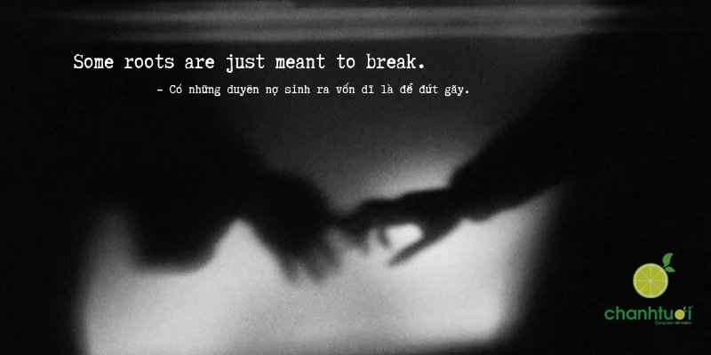 We were everything, now we're nothing. – Chúng ta từng là tất cả, giờ chẳng còn...