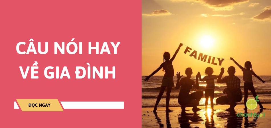Tuyển chọn 100+ Câu nói hay về gia đình ngắn gọn, sâu sắc nhất