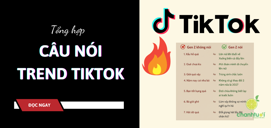 TỪ ĐIỂN GEN Z: Phổ cập Full bộ từ vựng & câu nói ‘gây bão’ TikTok cuối 2025