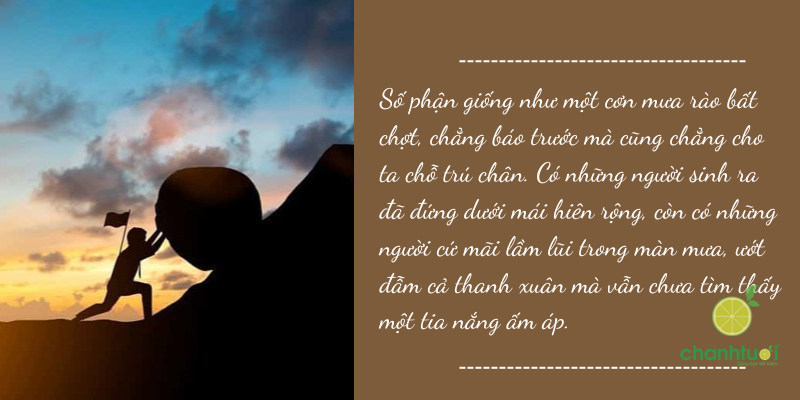 câu nói về số phận 4