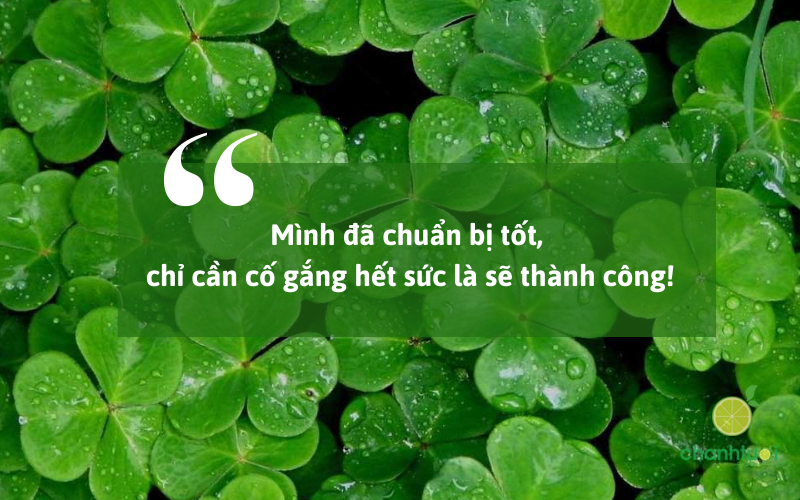 câu thần chú may mắn khi đi thi 3