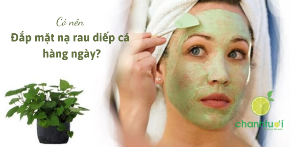 Có nên đắp mặt nạ rau diếp cá hàng ngày 3