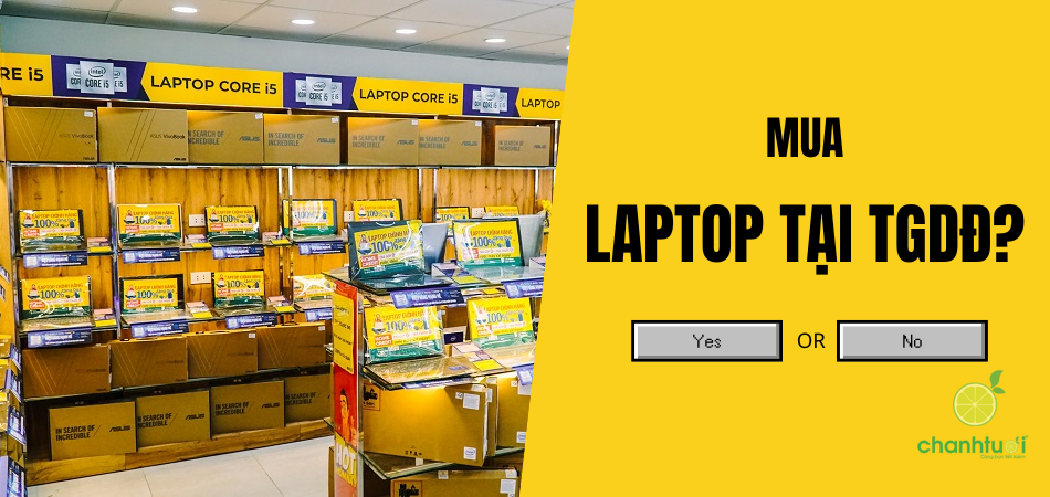 Có nên mua laptop ở Thegioididong? Hướng dẫn cách chọn mua đúng nhu cầu