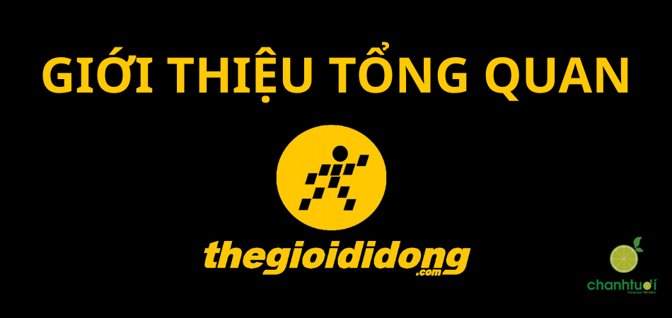 Công ty TNHH Thế Giới Di Động và điều có thể bạn chưa biết