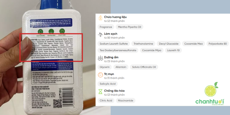 dầu gội santal x 4