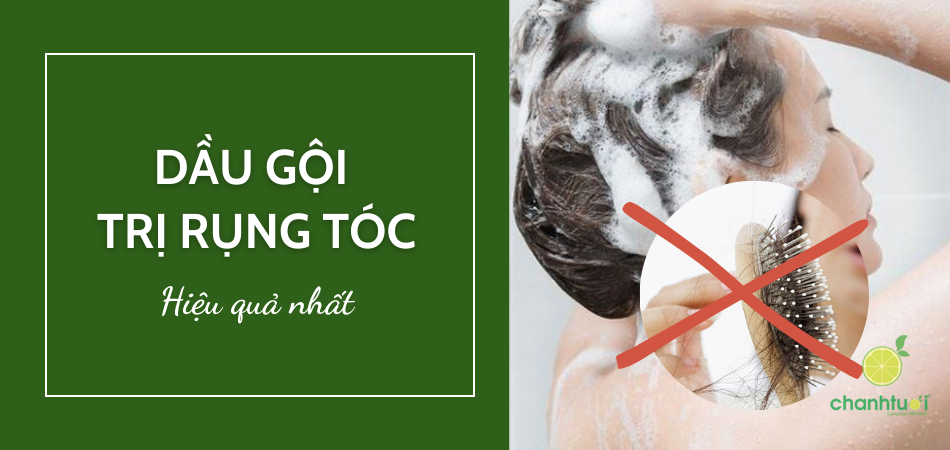Top 5 dầu gội trị rụng tóc dùng là thấy hiệu quả 2026