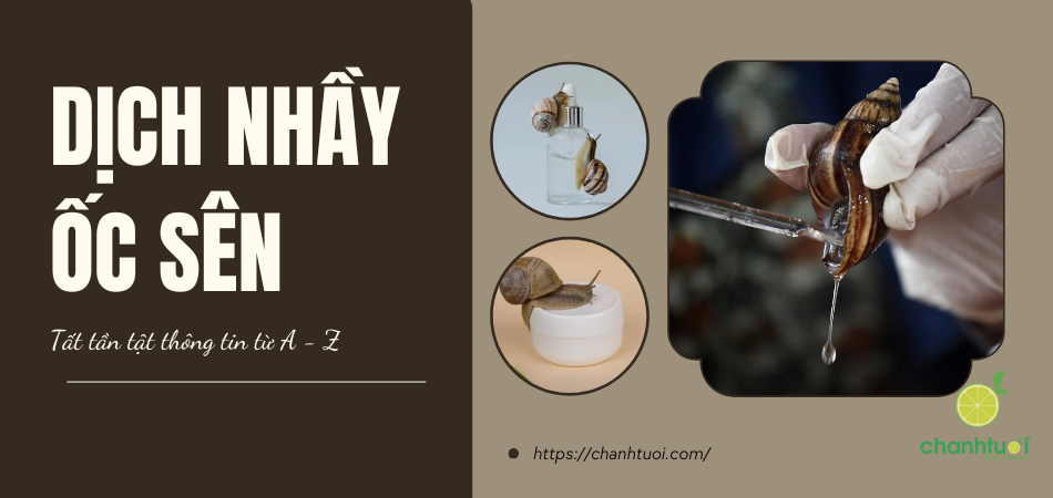 Dịch nhầy ốc sên: Bí quyết dưỡng da mịn màng, trẻ khỏe