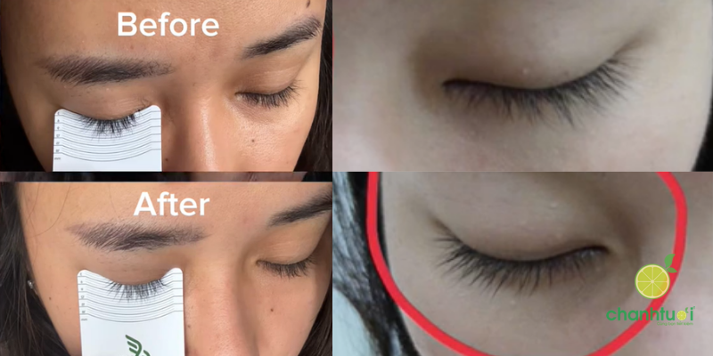 Dưỡng mi Daily effect hiệu quả