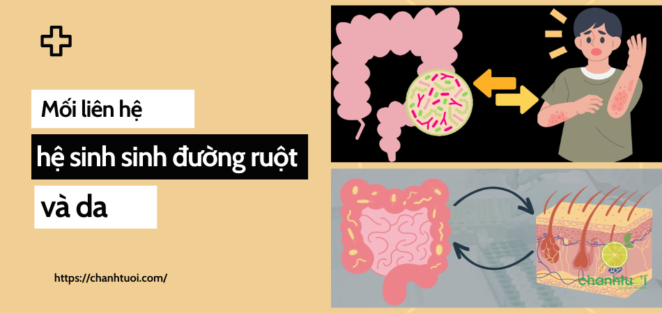 Hệ vi sinh đường ruột ảnh hưởng đến da như thế nào?
