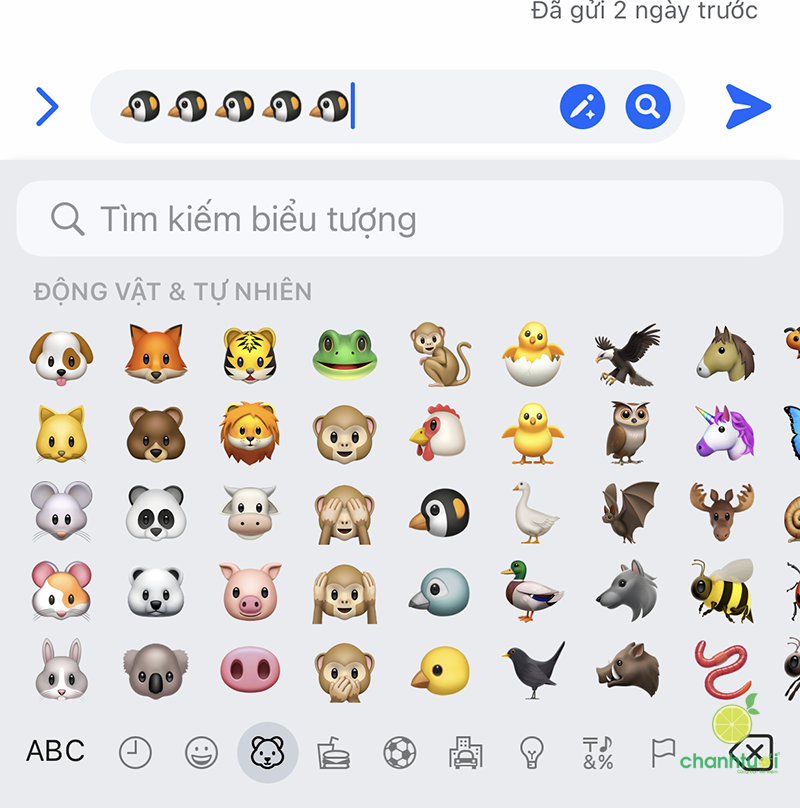 icon chim cánh cụt 1