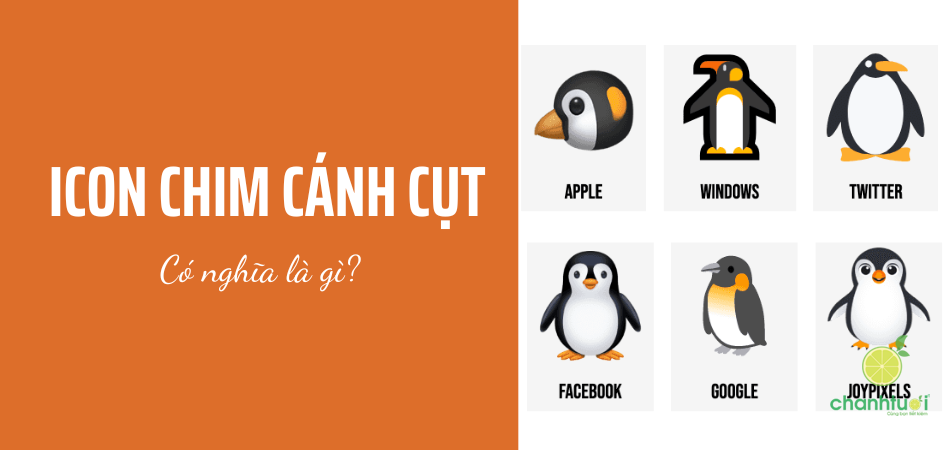 [BẤT NGỜ] Ý nghĩa thực sự Icon chim cánh cụt trên mạng xã hội là gì?