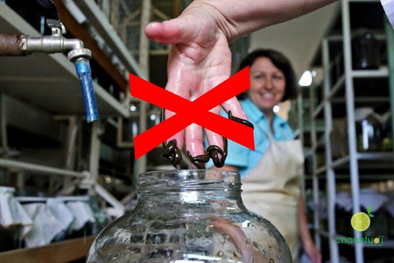 liệu pháp đỉa 3