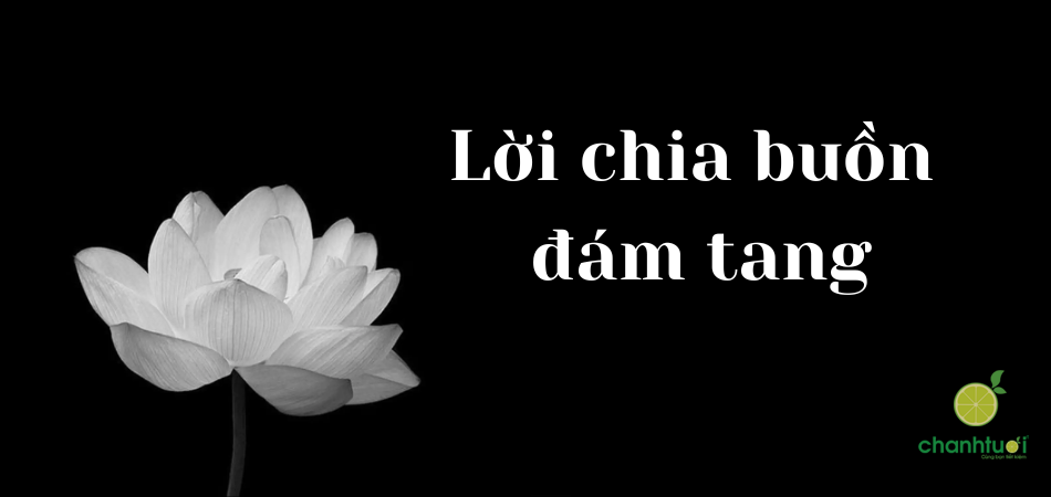 100+ lời chia buồn đám tang ngắn gọn và chân thành