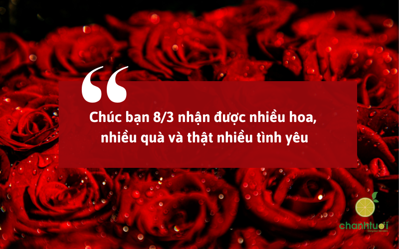 lời chúc 83 cho bạn bè 1