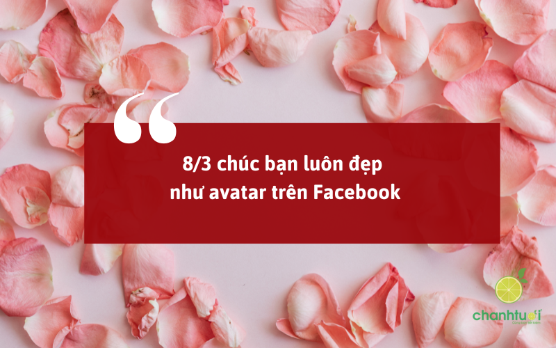 lời chúc 83 cho bạn bè 2