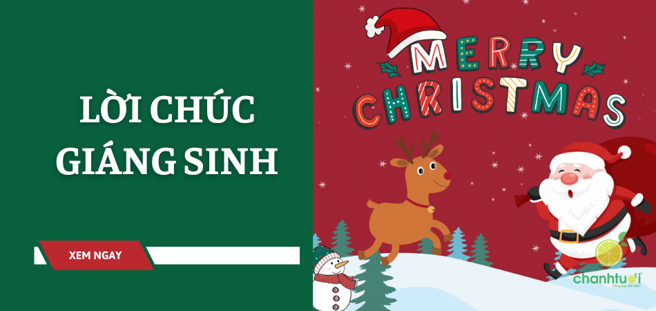 99+ lời chúc Giáng Sinh hay cho bạn bè, người yêu, gia đình,...