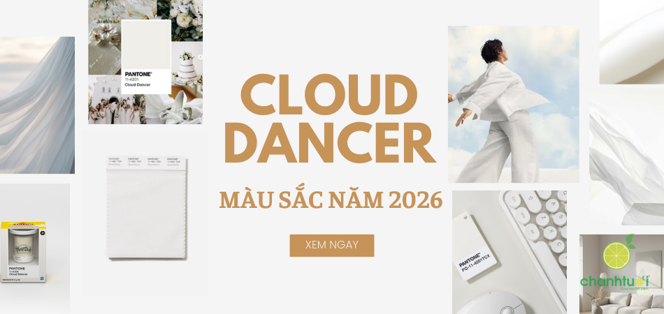 Màu sắc năm 2026 Cloud Dancer: Tái sinh chủ nghĩa tối giản, sang trọng