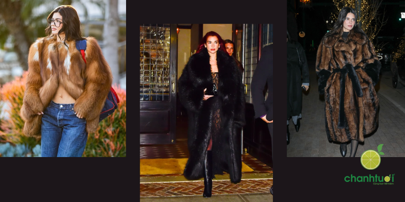 mob wife 2