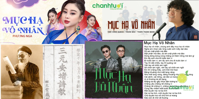 mục hạ vô nhân là gì 1