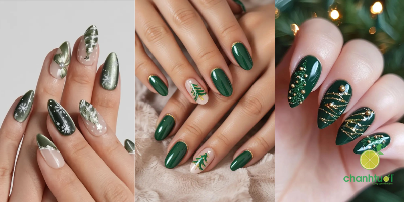 nail mắt mèo 4