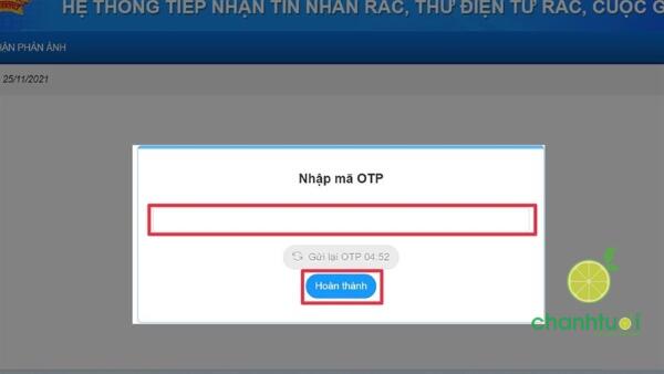 nbt247 là gì 5