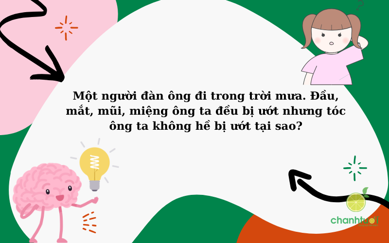 những câu đố vui 2