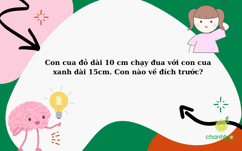 những câu đố vui 3