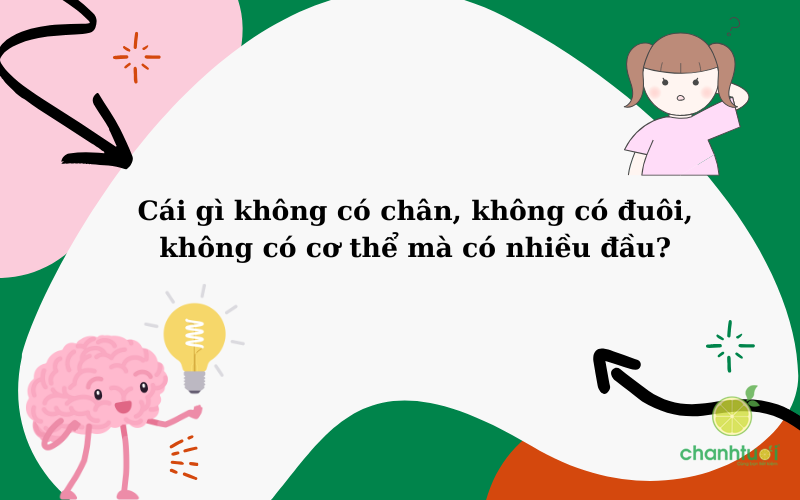 những câu đố vui 6