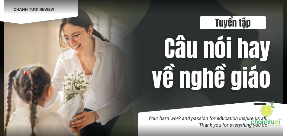 100+ câu nói về nghề giáo, tôn vinh người lái đò thầm lặng