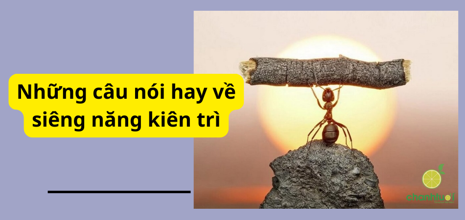 Những câu nói hay về siêng năng kiên trì truyền cảm hứng!