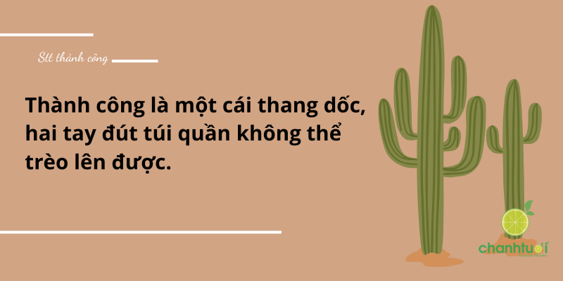 những câu nói hay về thành công 1