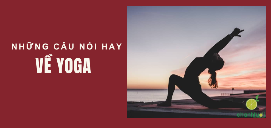 Những Câu Nói Hay Về Yoga Truyền Cảm Hứng Tập Mỗi Ngày