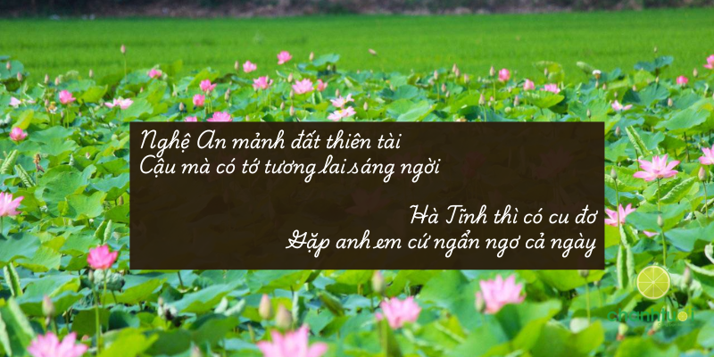 những câu nói tiếng nghệ an, hà tĩnh 5