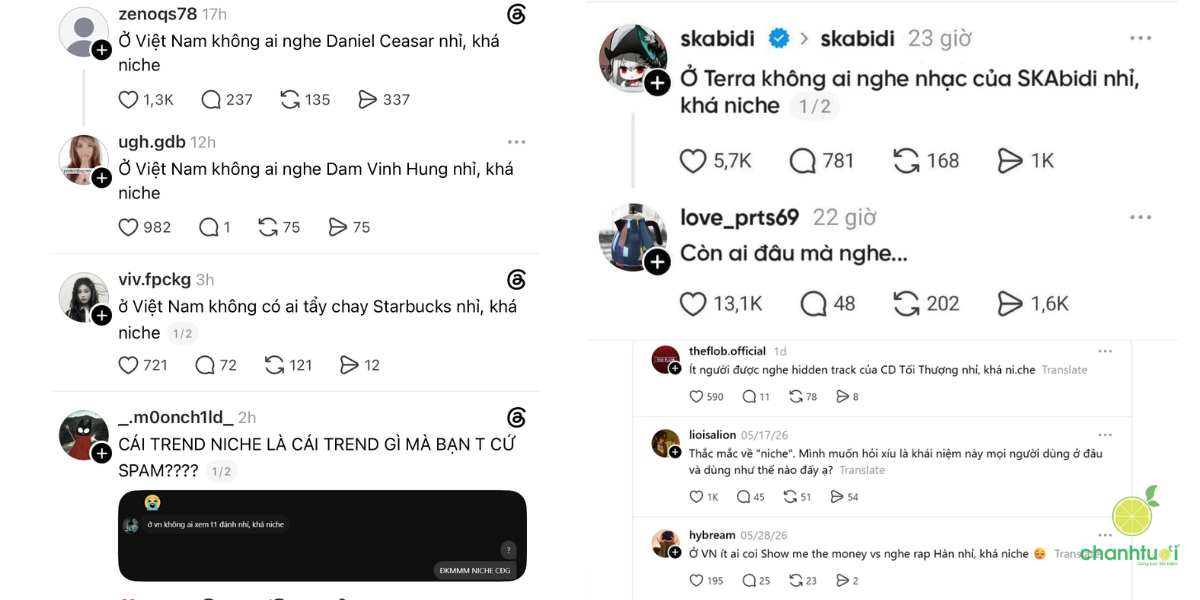 niche là gì 2